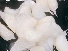 糖蒜-山城正宗集安高丽火盆