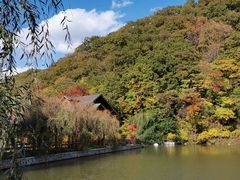 -参仙谷生态旅游度假区