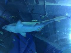 -成都浩海立方海洋公园