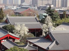 -大慈恩寺(大雁塔)