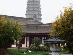 -法门文化景区