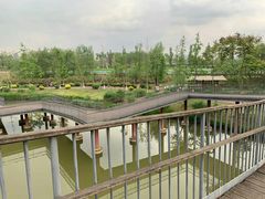 -白鹭湾湿地公园