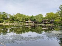 -北坞公园