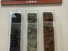 -中国农业博物馆