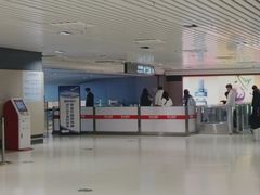 -哈尔滨太平国际机场-T2航站楼