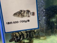 -盒马X会员店(上海森兰商都店)