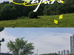 -长白岛森林公园