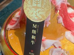 -牛New寿喜烧(金鹰世界店)