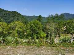 -石台牯牛降景区
