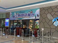 -帝企鹅自助餐厅•儿童岛•真企鹅(长隆企鹅酒店)