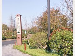 -湘湖金融镇