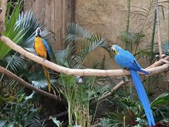 -杭州开元森泊度假乐园