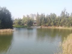 -五里桥文化公园-西侧停车场