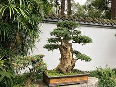-成都杜甫草堂博物馆