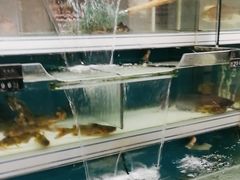 -永辉超市(六里桥店)