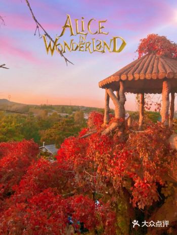 沈阳拍照 | 来感受爱丽丝梦游仙境 调色教程