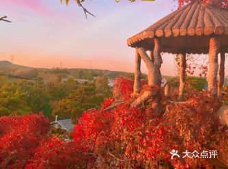 沈阳拍照 | 来感受爱丽丝梦游仙境 调色教程