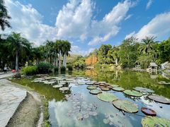 -中国科学院西双版纳热带植物园