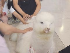 -新天地购物公园(亚泰大街店)