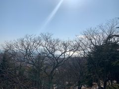 -信号山公园