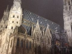 -斯蒂芬主教座堂(Stephansdom)