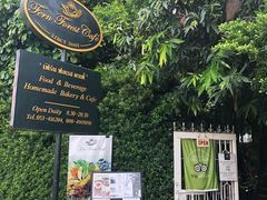 -Fern Forest Cafe
