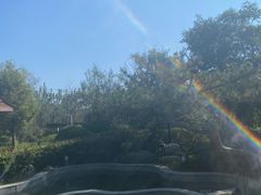 -思念果岭悦温泉