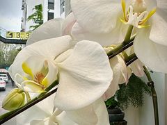 -FEI FEI FLOWER鲜花店·气球派对·宝宝宴布置(虹口德必运动Loft店)