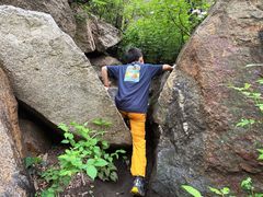 -大岭沟猕猴桃谷风景区