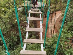 -芦仙山景区-飞越丛林探险乐园
