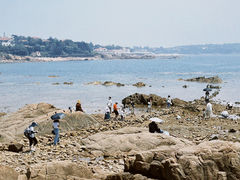 -八大关景区