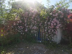 -崔岗艺术村