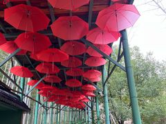 -陶祖圣境风景区