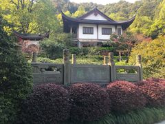 -十八棵（老龙井）御茶园(老龙井店)