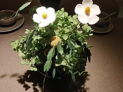 -一川二水•粤川醉(CP静安店)