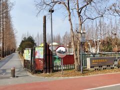 -上海长兴岛郊野公园