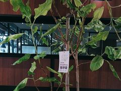 -西堤牛排(南京龙江店)