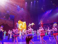 -珠海横琴长隆《卡卡虎奇遇记》