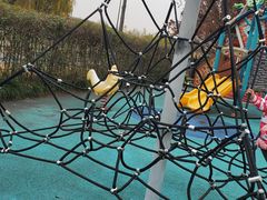 -两河城市森林公园