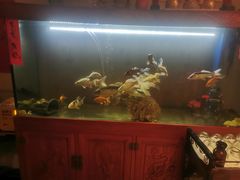 -逸栈养生SPA(望京店)