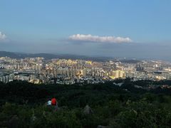 -长虫山生态公园风景林