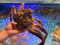 -驻海渔市(置信店)