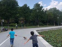 -尚贤河湿地