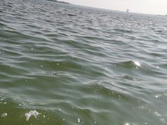 -美兰湖景区