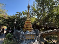 -瑞丽独树成林风景区