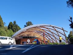 -怀托摩萤火虫洞