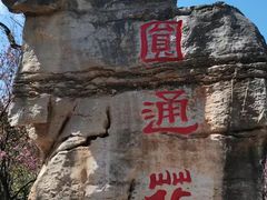 -昆明动物园