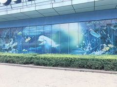 -芜湖新华联大白鲸海洋公园