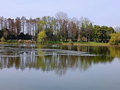 -月湖风景区