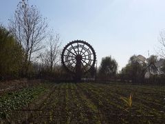 android_upload_pic-溱湖国家湿地公园